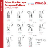 فورسپس ساده بزرگسال فالکن برای کشیدن دندان | ابزار جراحی دندانپزشکی | panamal.ir