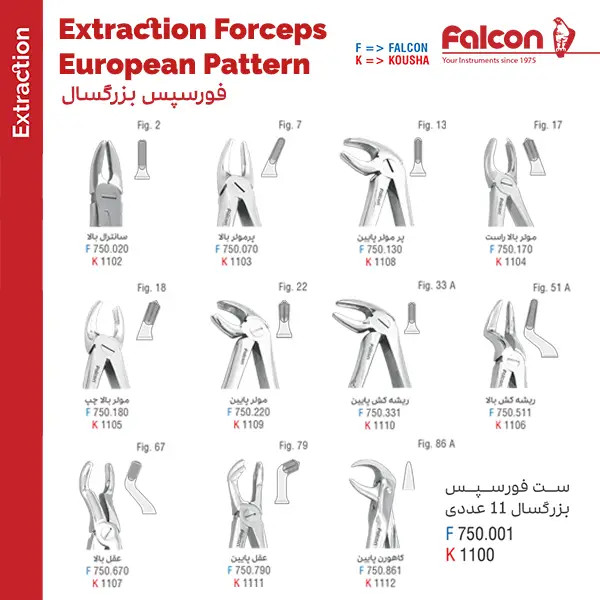فورسپس ساده بزرگسال فالکن برای کشیدن دندان | ابزار جراحی دندانپزشکی | panamal.ir