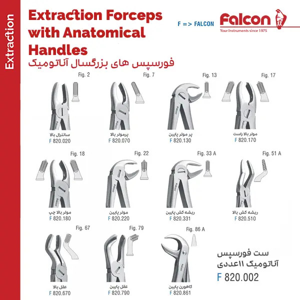 فورسپس آناتومیک فالکن | ابزار جراحی دندانپزشکی استیل | panamal.ir