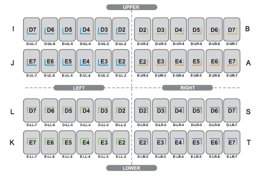 اس اس کراون KTR استیل دندان شیری کودک