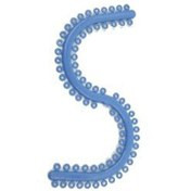 سپراتور الاستیکی ارتودنسی رنگی